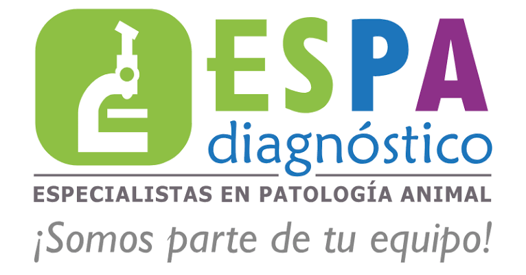 Vet Norte Logo