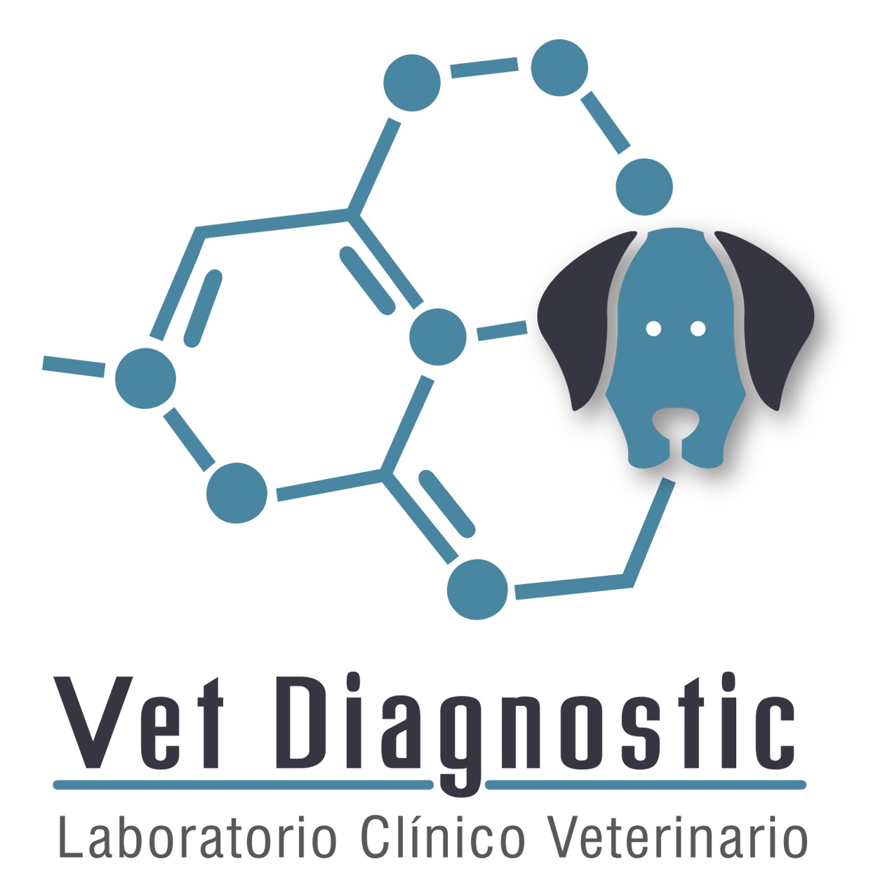 Axioma Logo